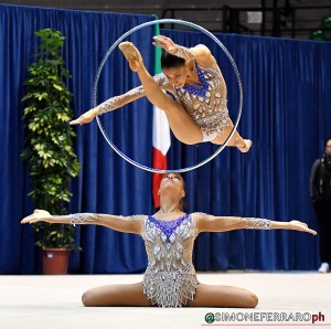 farfalle 0028 sfa 8402a copia